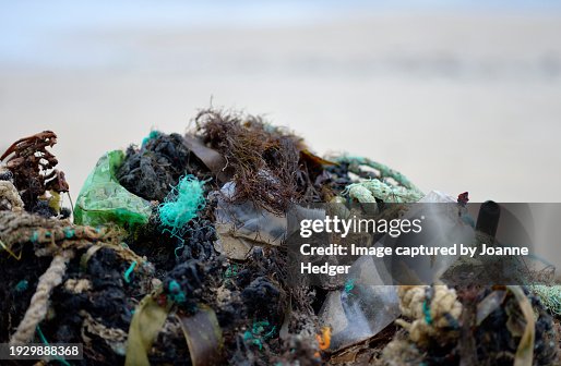 Polltion Partrollers Ocean Plastic Pollution Beach Patrol Mid Winter In Ireland High-Res ...