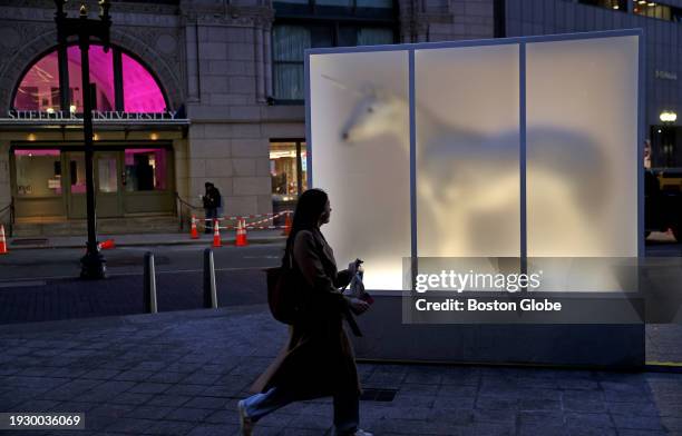 Boston, MA Myth and Evidence by Mathieu Valade, a frosted glass display case containing a unicorn.