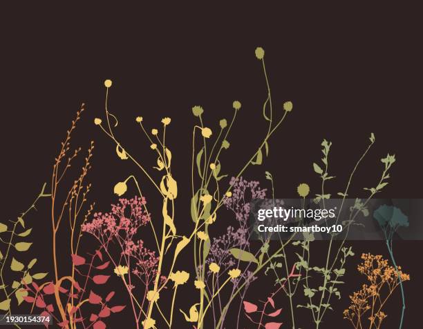 wild flower pattern - sheep sorrel stock illustrations