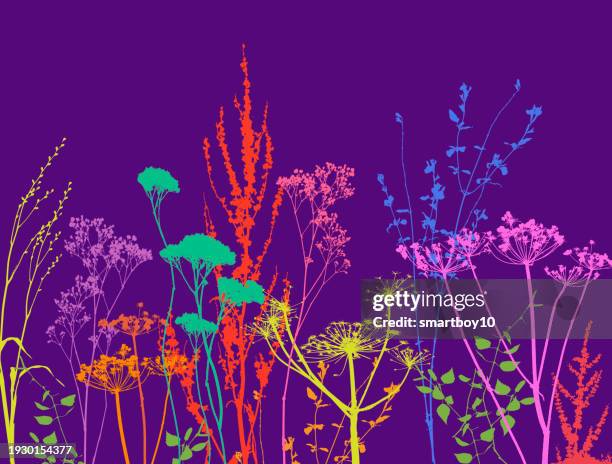 wild flower pattern - dock leaf stock illustrations
