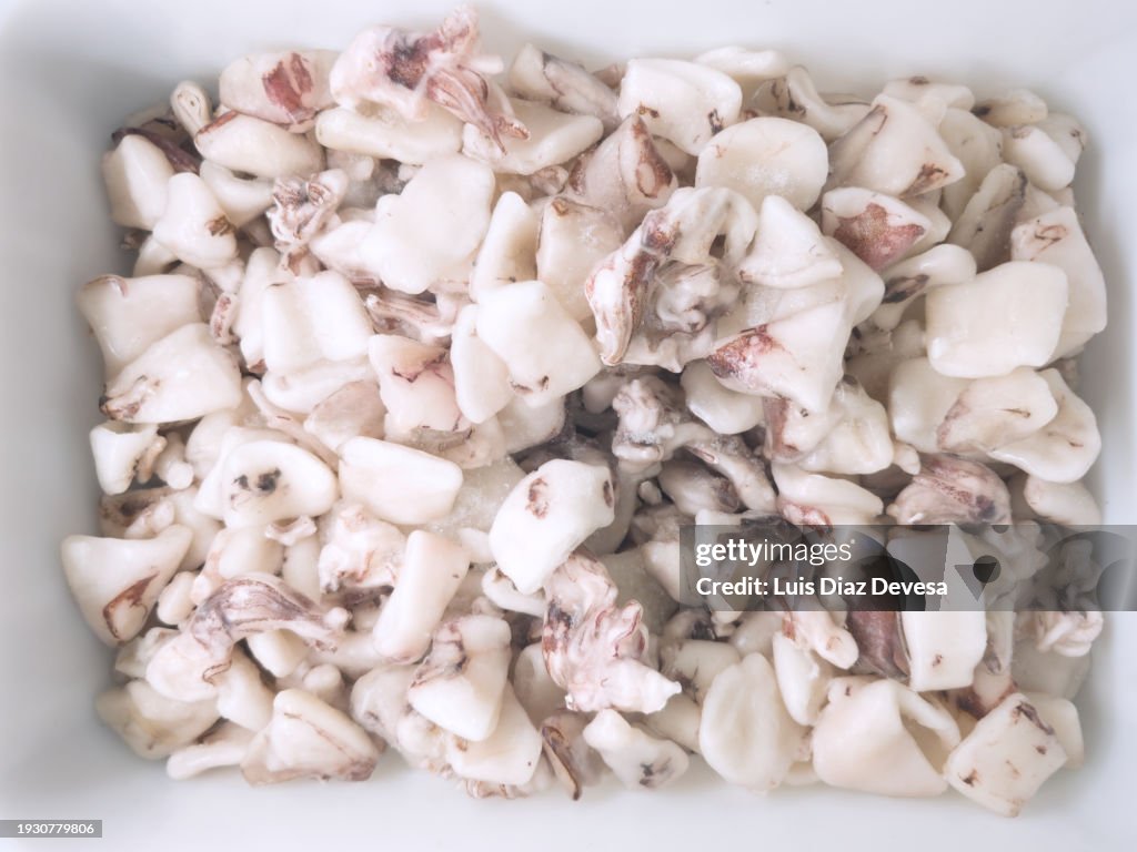 Frozen squid pieces