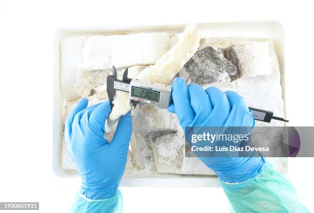 Device Measuring Cod 123 Calibration Lab With People Stock Photos, High-Res Pictures, and ...
