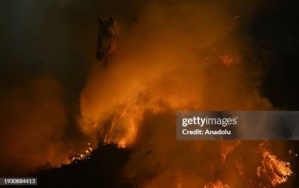 Men ride horses through a bonfire made of pine branches after the horses have been blessed by a priest to protect and purify them for the coming...