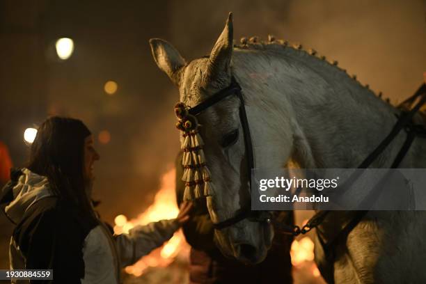 Woman strokes a horse during the annual Las Luminarias festival in the town of San Bartolome de Pinares in Avila, Spain on January 16, 2024. This...