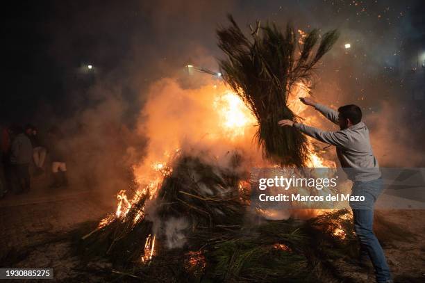 Man throws branches to a bonfire during the traditional "Las Luminarias" celebration. Each year, horse riders jump over bonfires during the...