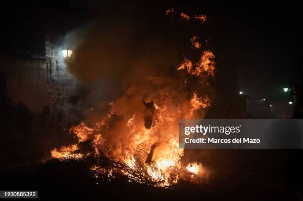 Horse rider jumps over a bonfire during the traditional "Las Luminarias" celebration. Each year, horse riders jump over bonfires during the...