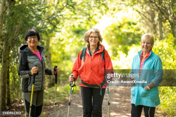 senior women hike through forest together - seulement des femmes seniors photos et images de collection