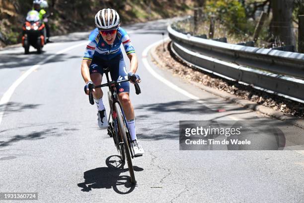 Sarah Gigante of Australia and AG Insurance - Soudal Team attacks at Willunga Hill to win the 8th Santos Women's Tour Down Under 2024, Stage 3 a...