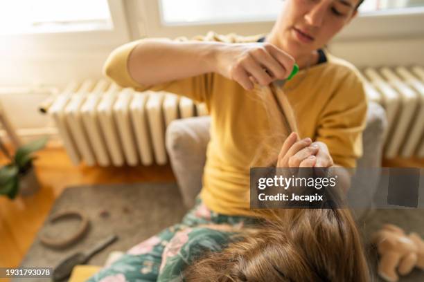 mother doing head lice cleaning on daughter at home - head louse stock pictures, royalty-free photos & images