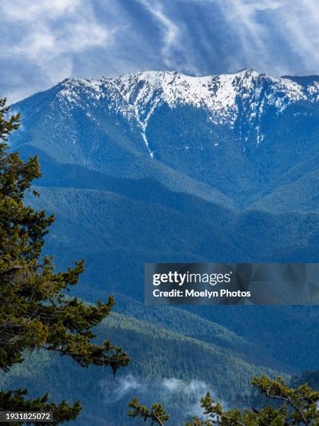 High Ridge Hurricane Ridge Hurricane Ridge National Park Photos and Premium High Res Pictures ...