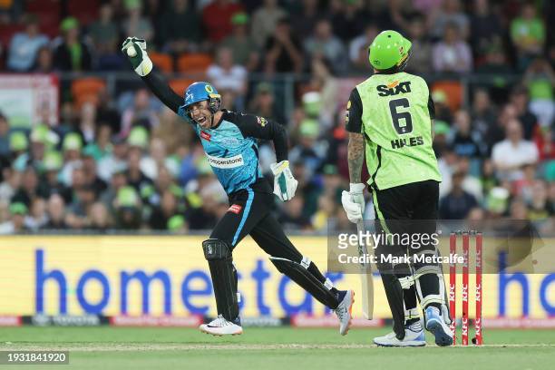Harry Nielsen of the Strikers celebrates taking the wicket of Alex Hales of the Thunder during the BBL match between Sydney Thunder and Adelaide...