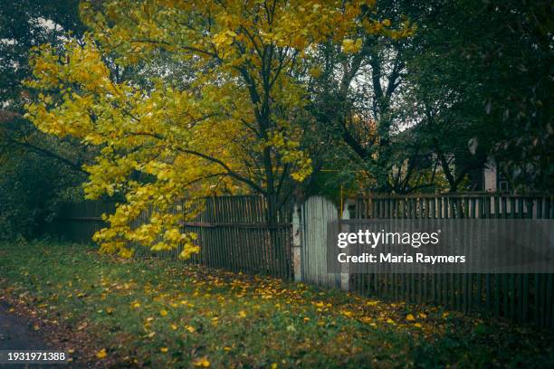 Li Maria Country 17,666 Maria Country Stock Photos, High-Res Pictures, and Images ...