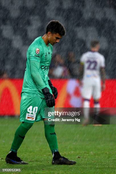 Pictures And Photos - Getty Images