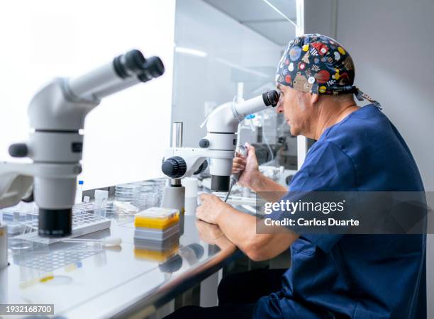 primer plano en el laboratorio de fertilidad, el médico prepara placas de cultivo de embriones. está vestido con ropa de laboratorio. - microbiologist fotografías e imágenes de stock