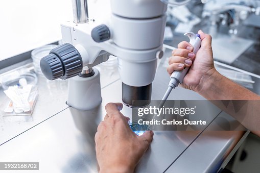 Close up In the fertility laboratory the Doctor preparing embryo cultivation plates Close up In the fertility laboratory the Doctor preparing embryo cultivation plates