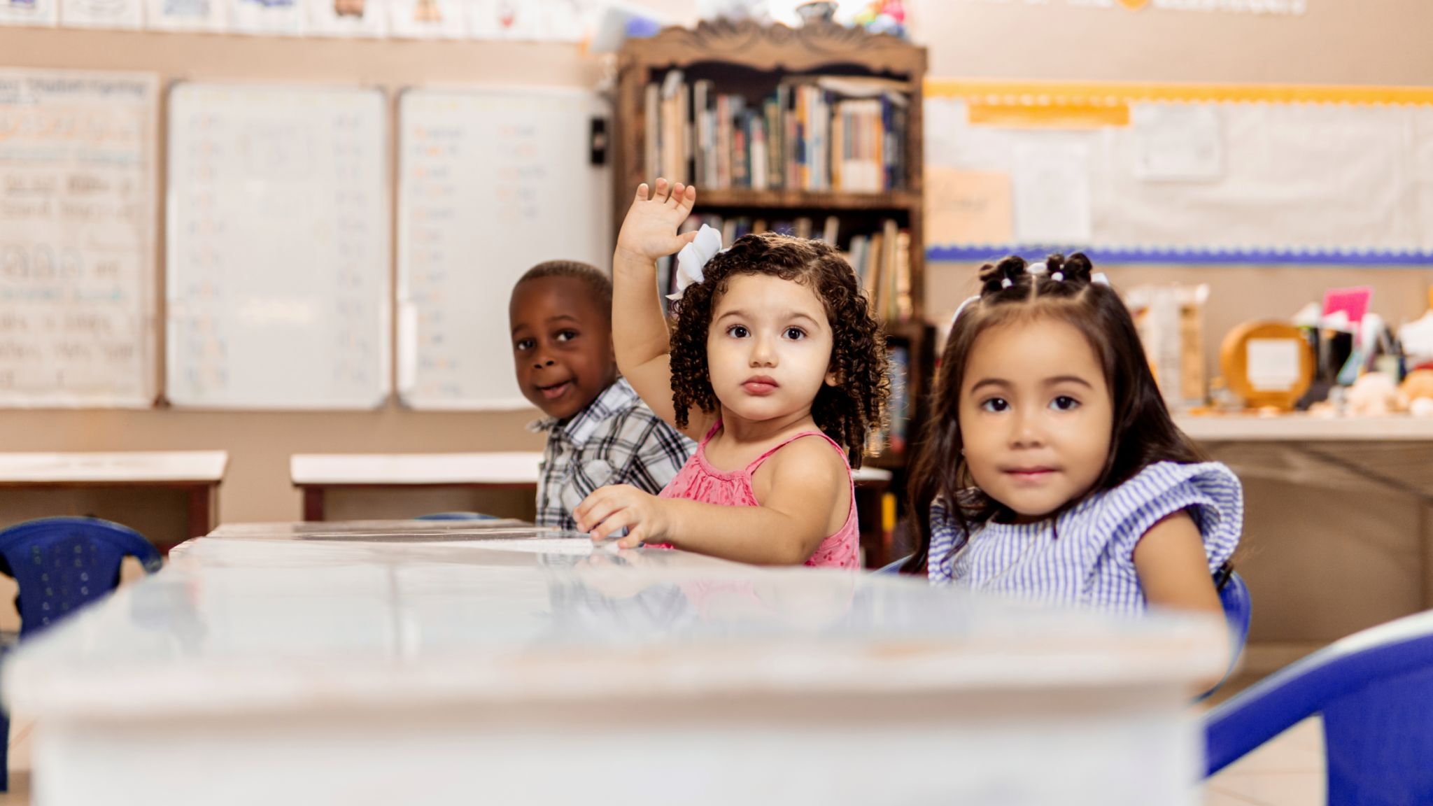 indigenous education