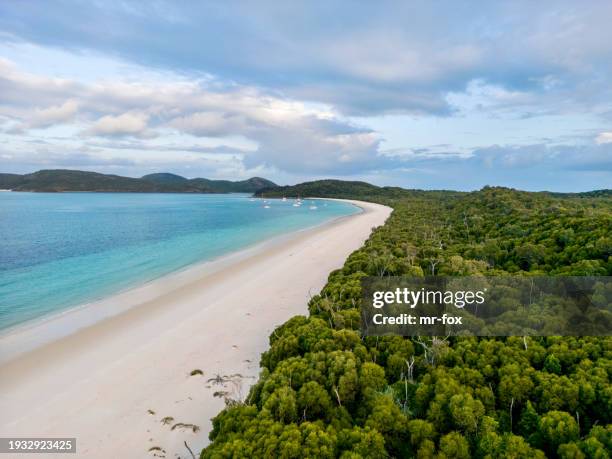 beautiful high angle aerial drone view of famous whitehaven beach, part of the whitsunday islands national park near the great barrier reef, queensland, australia. popular tourist destination. - whitehaven beach stock pictures, royalty-free photos & images