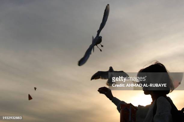 Woman tosses food for seagulls to catch as she stands over the Jadriya Bridge on the Tigris River in Baghdad, at sunset on January 17, 2024.