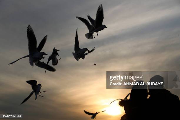 People toss food for seagulls to catch as they stand over the Jadriya Bridge on the Tigris River in Baghdad, at sunset on January 17, 2024.