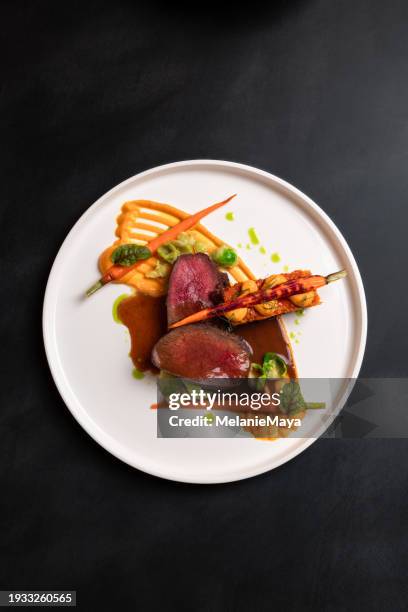 beef deer steak filet with gravy, carrot puree and carrot cake served with red wine at michelin star gourmet restaurant - duitse gerechten stockfoto's en -beelden