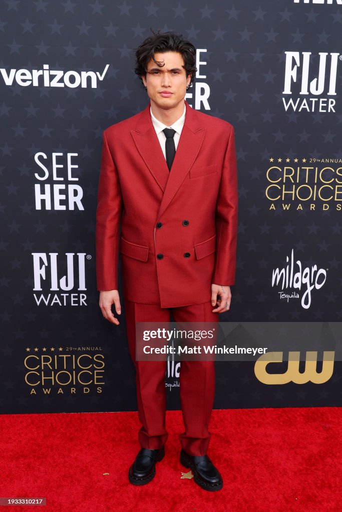 29th Annual Critics Choice Awards – Red Carpet
