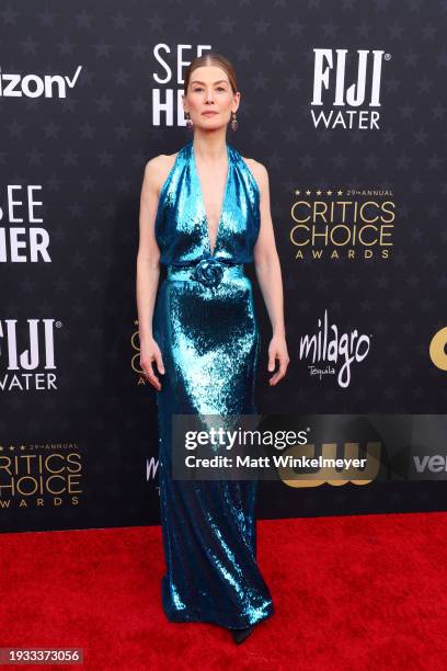 Rosamund Pike attends the 29th Annual Critics Choice Awards at Barker Hangar on January 14, 2024 in Santa Monica, California.