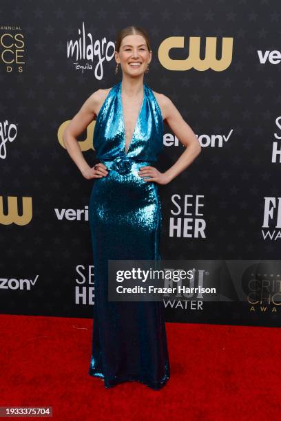 Rosamund Pike attends the 29th Annual Critics Choice Awards at Barker Hangar on January 14, 2024 in Santa Monica, California.