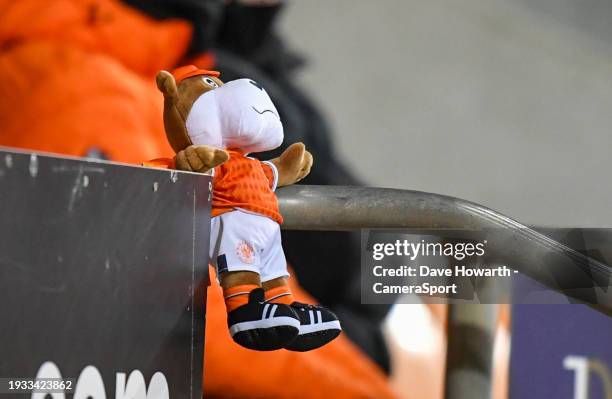 Soft toy Blackpool mascot watches the Emirates FA Cup Third Round Replay match between Blackpool and Nottingham Forest at Bloomfield Road on January...