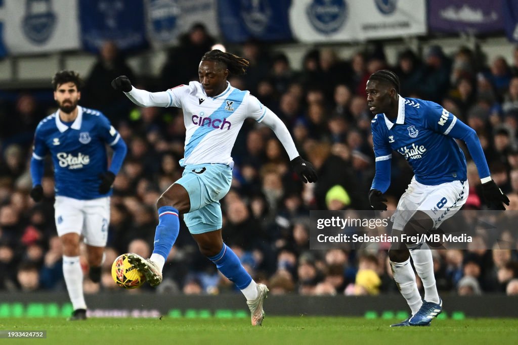 Everton v Crystal Palace - Emirates FA Cup Third Round