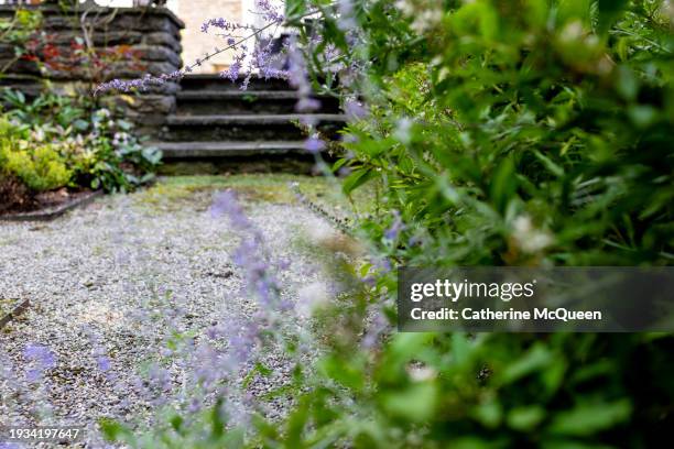 scenic gravel footpath in formal garden courtyard - englischer garten stock-fotos und bilder