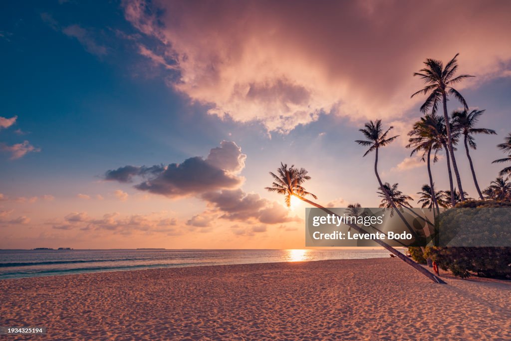 Best island beach. Silhouette palm trees panoramic destination landscape. Inspire sea sand popular vacation tropical beach seascape horizon. Orange gold sunset sky. Calm tranquil relax summer travel