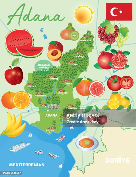 adana fruits map - kanafeh stock illustrations