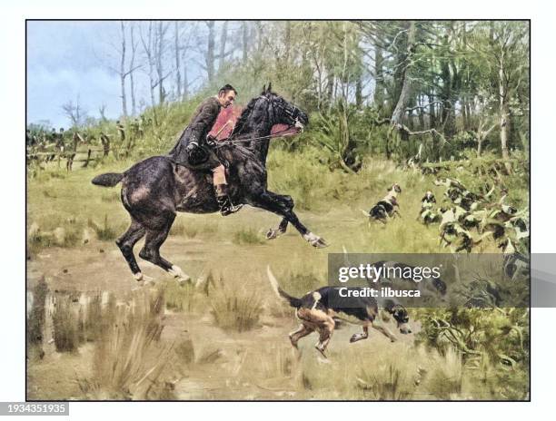220 Fox Hunting Painting Stock Photos, High-Res Pictures, and