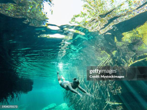 woman dives in tropical cenote, underwater shot - quintana roo stock pictures, royalty-free photos & images