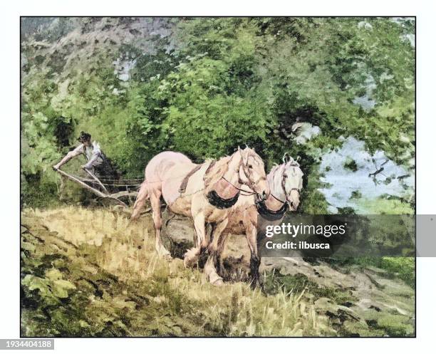 antique photo of paintings: plough - agricultural field photos stock illustrations