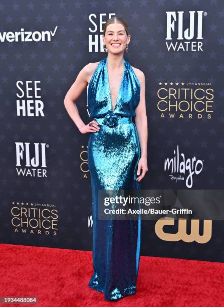Rosamund Pike attends the 29th Annual Critics Choice Awards at Barker Hangar on January 14, 2024 in Santa Monica, California.