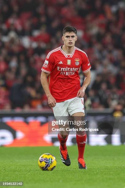 Antonio Silva of SL Benfica during the Liga Portugal Betclic match between SL Benfica and Rio Ave FC at Estadio do Sport Lisboa e Benfica on January...