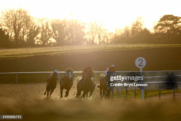 The runners and riders in The Win £2 000 With BETMGM's Golden Goals Handicap Stakes at Lingfield Park on January 15, 2024 in Lingfield, England.