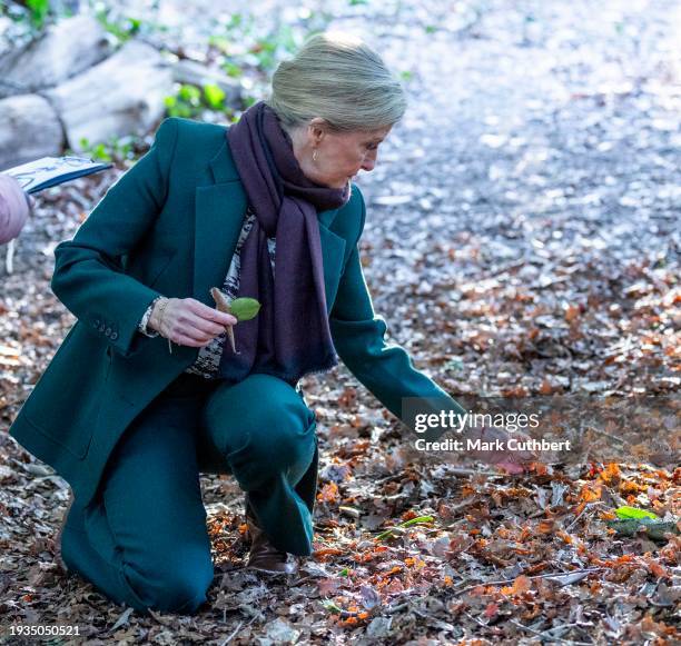 Sophie, Duchess of Edinburgh walks into the woodland area to plant some seeds, plant a tree with the tree Wardens and meet children from the Forest...