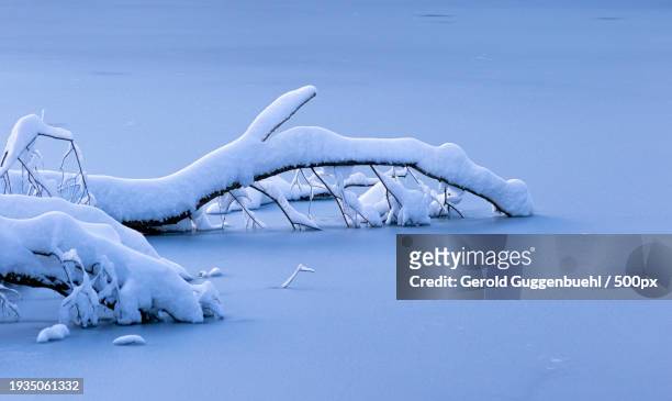 scenic view of frozen sea against sky - gerold guggenbuehl stock pictures, royalty-free photos & images