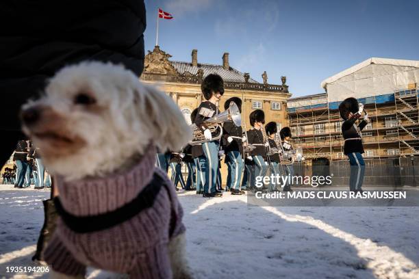 The dog of a spectator looks on as the Life Guard's changing of the guard takes place at Amalienborg Castle Square in Copenhagen, on January 18 some...