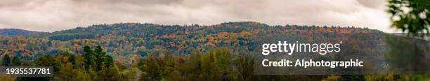 autumnal leaf colour in vermont, usa - letterbox stock-fotos und bilder