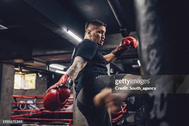 kickboxer ausbildung - kickboxen stock-fotos und bilder