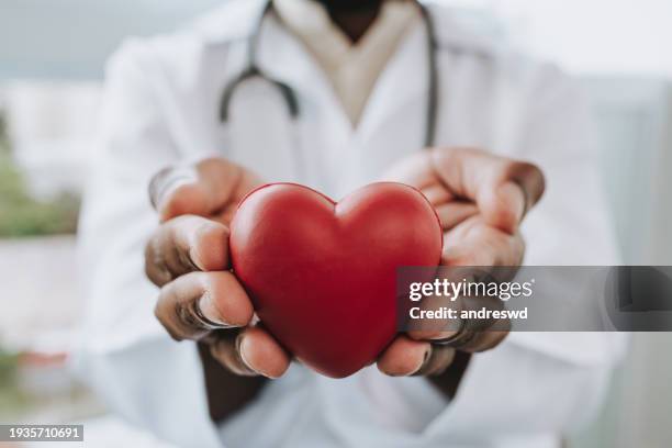 porträt eines arztes, der ein herz in den händen hält - gesundheitswesen und medizin stock-fotos und bilder