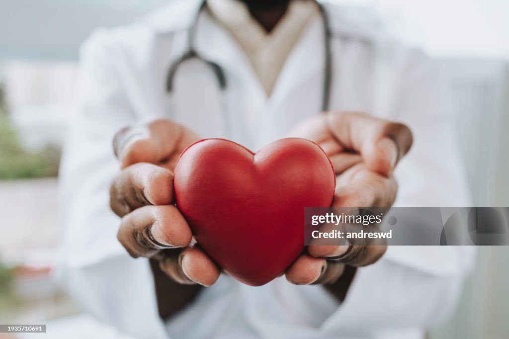 Portrait of a doctor holding a heart in his hands