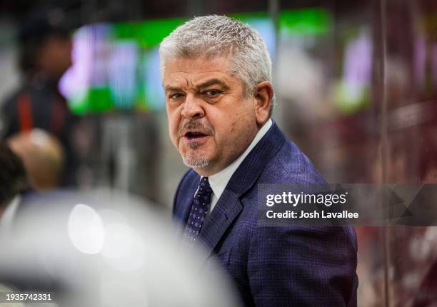 Head coach Todd McLellan of the Los Angeles Kings is seen on the bench during the second period against the Carolina Hurricanes at PNC Arena on...