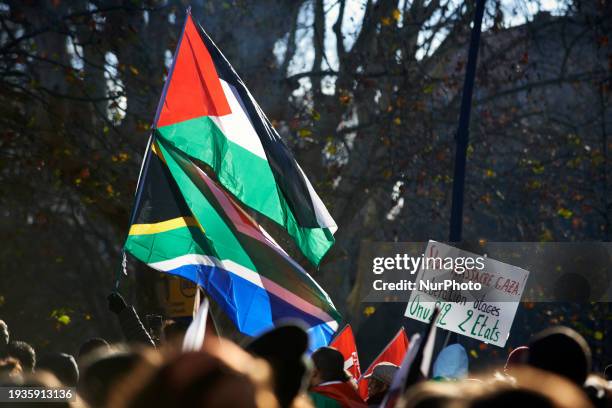 Protester is holding flags of South Africa and Palestine, and a placard that reads 'Stop the slaughter in Gaza, resolution 242 for two states'....