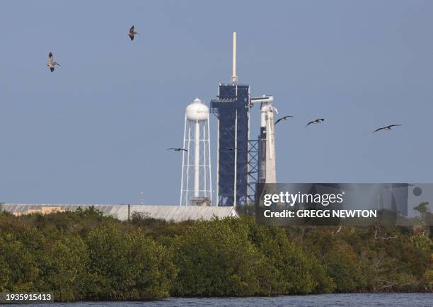 Pelicans fly over the Turning Basin while fishing near launch pad LC-39A, where a SpaceX Falcon 9 rocket with its Crew Dragon capsule sits before...