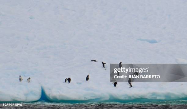 Chinstrap penguins are seen at the Gerlache Strait, which separates the Palmer Archipelago from the Antarctic Peninsula, in Antarctica on January 18,...