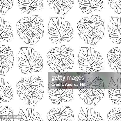Monstera leaf single line drawing seamless pattern Monstera leaf single line drawing seamless pattern